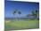 Denarau Golf Course, Danarau, Viti Levu, Fiji-Neil Farrin-Mounted Photographic Print