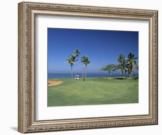 Denarau Golf Course, Danarau, Viti Levu, Fiji-Neil Farrin-Framed Premium Photographic Print
