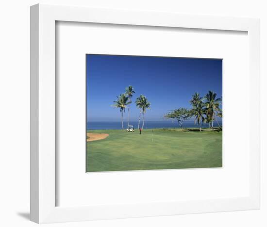 Denarau Golf Course, Danarau, Viti Levu, Fiji-Neil Farrin-Framed Premium Photographic Print