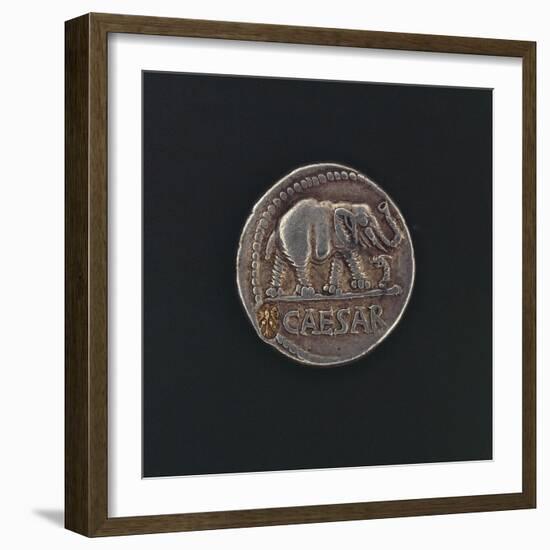 Denarius Issued by Caesar before Crossing Rubicon, Depicting Elephant, Symbol of Leader-null-Framed Giclee Print