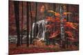 Premium Photographic Print