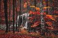 Premium Photographic Print