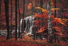 Beautiful Waterfall in Autumn Forest-denbelitsky-Framed Photographic Print