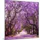 Premium Photographic Print
