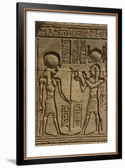 Dendera Necropolis, Qena, Nile Valley, Egypt; Carvings on the Outside Wall of the Temple of Hathor-Tony Waltham-Framed Photographic Print