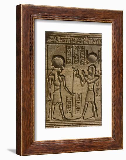 Dendera Necropolis, Qena, Nile Valley, Egypt; Carvings on the Outside Wall of the Temple of Hathor-Tony Waltham-Framed Photographic Print