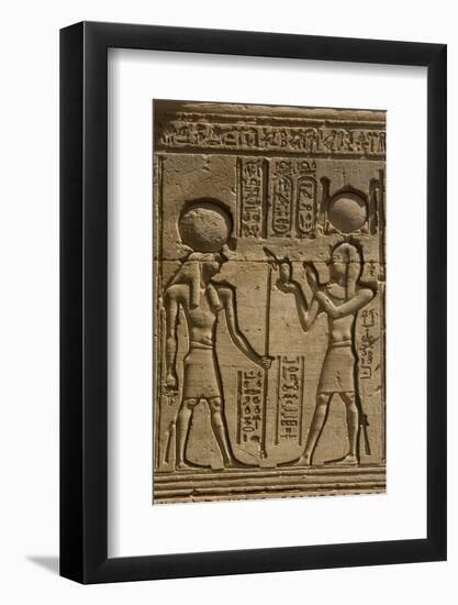 Dendera Necropolis, Qena, Nile Valley, Egypt; Carvings on the Outside Wall of the Temple of Hathor-Tony Waltham-Framed Photographic Print