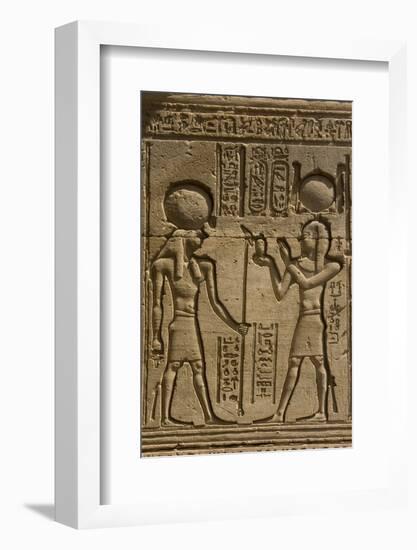 Dendera Necropolis, Qena, Nile Valley, Egypt; Carvings on the Outside Wall of the Temple of Hathor-Tony Waltham-Framed Photographic Print