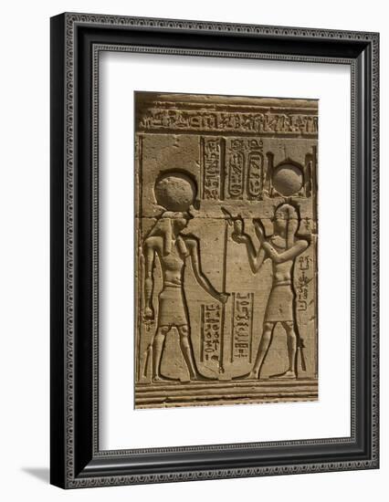 Dendera Necropolis, Qena, Nile Valley, Egypt; Carvings on the Outside Wall of the Temple of Hathor-Tony Waltham-Framed Photographic Print