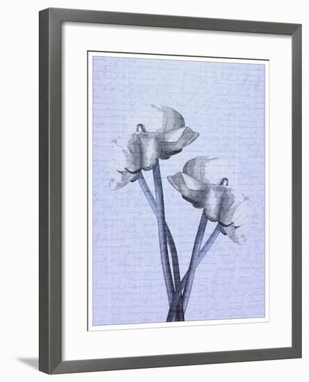 Denim Floral 1-Kimberly Allen-Framed Art Print