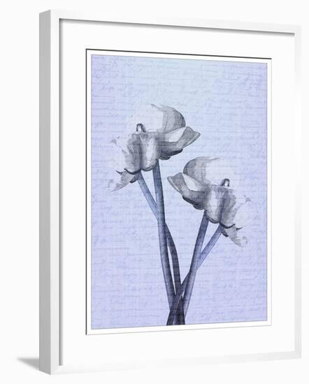 Denim Floral 1-Kimberly Allen-Framed Art Print