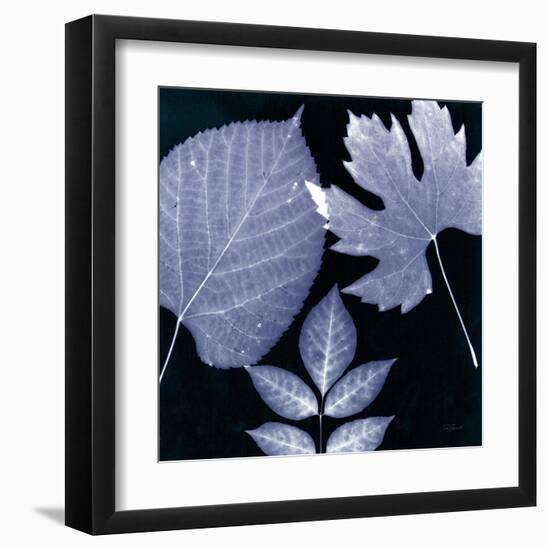 Denim Sunprint Leaves-Dan Zamudio-Framed Art Print