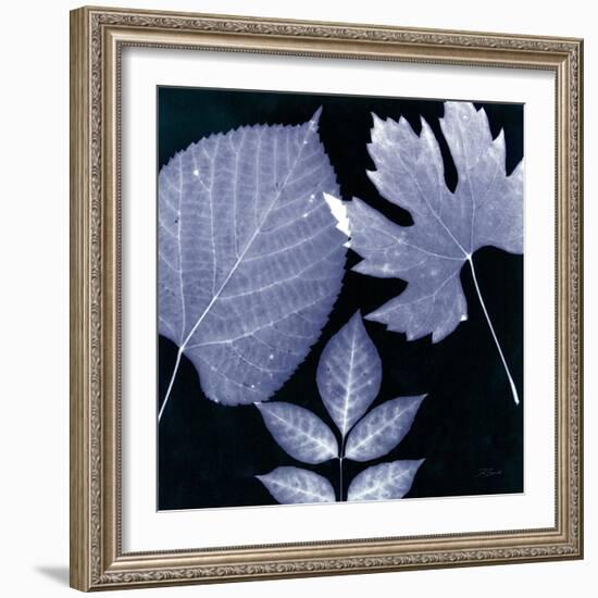 Denim Sunprint Leaves-Dan Zamudio-Framed Art Print