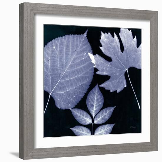 Denim Sunprint Leaves-Dan Zamudio-Framed Art Print