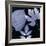 Denim Sunprint Leaves-Dan Zamudio-Framed Art Print