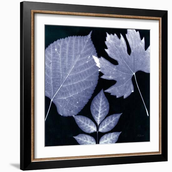 Denim Sunprint Leaves-Dan Zamudio-Framed Art Print