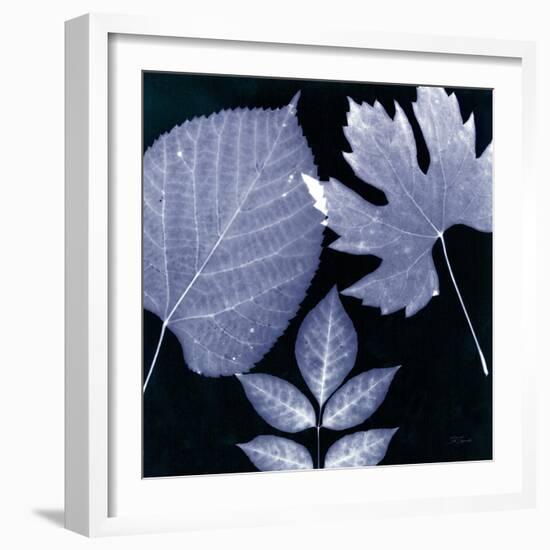 Denim Sunprint Leaves-Dan Zamudio-Framed Art Print