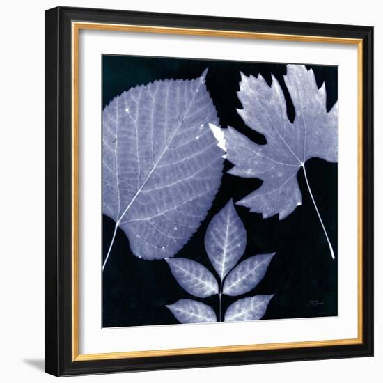 Denim Sunprint Leaves-Dan Zamudio-Framed Art Print