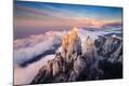 Photographic Print
