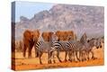 Stretched Canvas Print