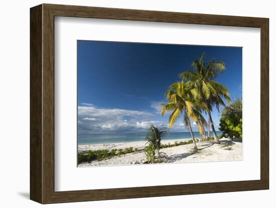 Denis Island, Seychelles, Indian Ocean, Africa-Sergio Pitamitz-Framed Photographic Print