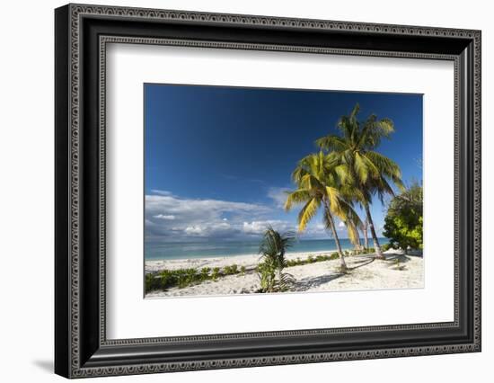 Denis Island, Seychelles, Indian Ocean, Africa-Sergio Pitamitz-Framed Photographic Print