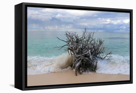 Denis Island, Seychelles-Sergio Pitamitz-Framed Premier Image Canvas