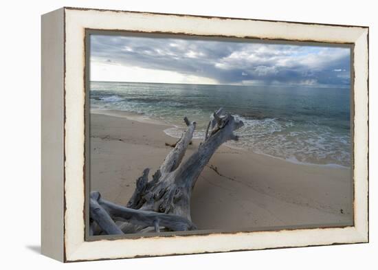 Denis Island, Seychelles-Sergio Pitamitz-Framed Premier Image Canvas