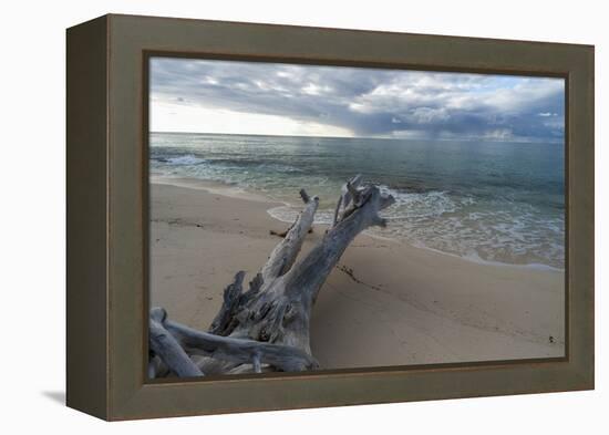 Denis Island, Seychelles-Sergio Pitamitz-Framed Premier Image Canvas