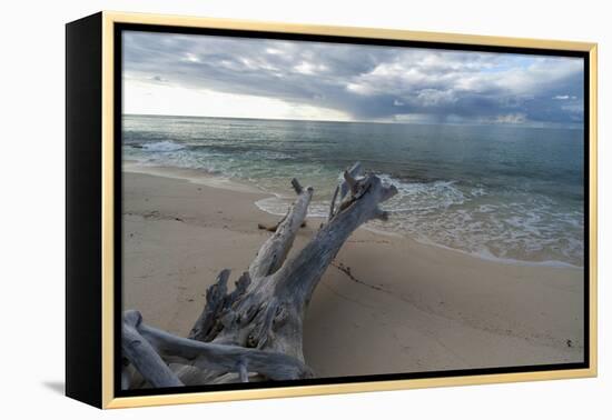 Denis Island, Seychelles-Sergio Pitamitz-Framed Premier Image Canvas