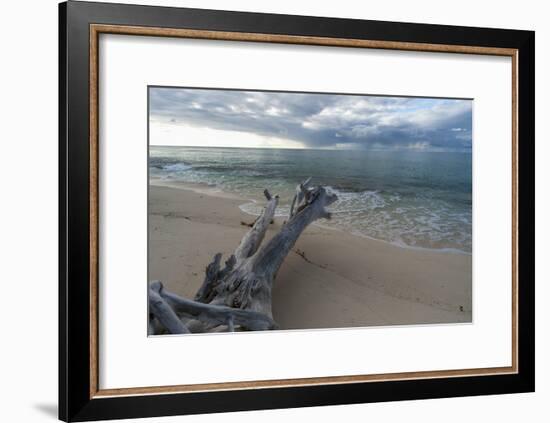 Denis Island, Seychelles-Sergio Pitamitz-Framed Photographic Print