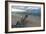 Denis Island, Seychelles-Sergio Pitamitz-Framed Photographic Print