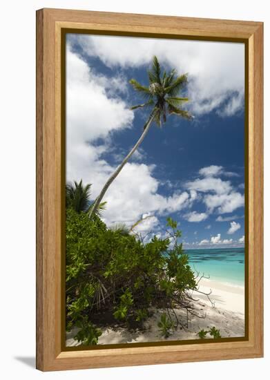 Denis Island, Seychelles-Sergio Pitamitz-Framed Premier Image Canvas