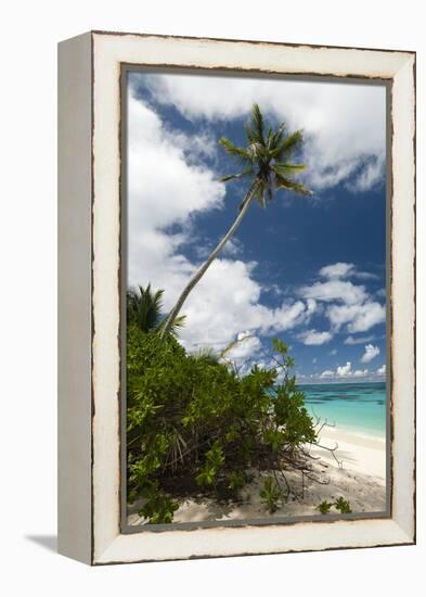 Denis Island, Seychelles-Sergio Pitamitz-Framed Premier Image Canvas