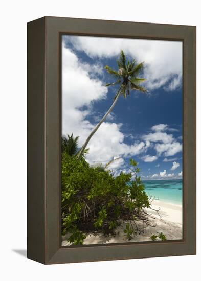 Denis Island, Seychelles-Sergio Pitamitz-Framed Premier Image Canvas