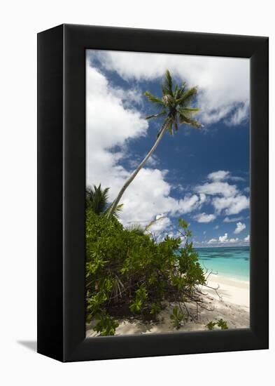 Denis Island, Seychelles-Sergio Pitamitz-Framed Premier Image Canvas