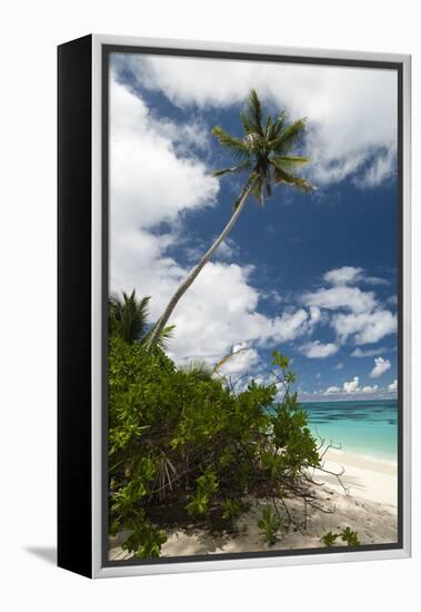 Denis Island, Seychelles-Sergio Pitamitz-Framed Premier Image Canvas