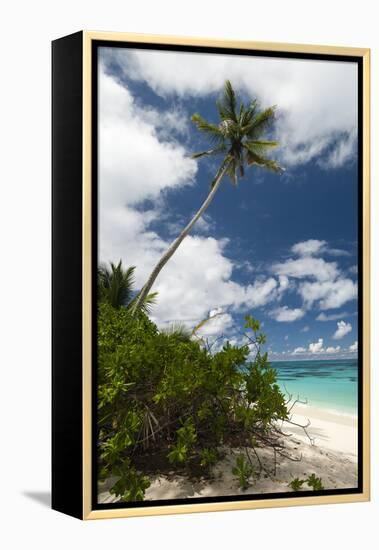 Denis Island, Seychelles-Sergio Pitamitz-Framed Premier Image Canvas