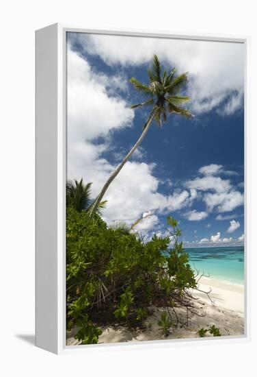 Denis Island, Seychelles-Sergio Pitamitz-Framed Premier Image Canvas