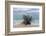 Denis Island, Seychelles-Sergio Pitamitz-Framed Photographic Print