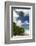 Denis Island, Seychelles-Sergio Pitamitz-Framed Photographic Print