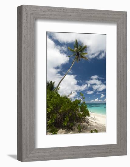 Denis Island, Seychelles-Sergio Pitamitz-Framed Photographic Print