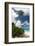 Denis Island, Seychelles-Sergio Pitamitz-Framed Photographic Print