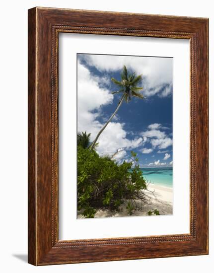 Denis Island, Seychelles-Sergio Pitamitz-Framed Photographic Print