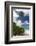 Denis Island, Seychelles-Sergio Pitamitz-Framed Photographic Print