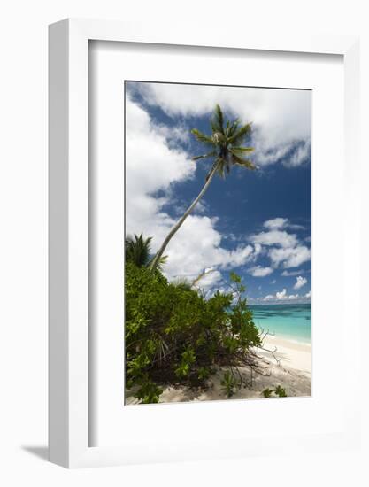 Denis Island, Seychelles-Sergio Pitamitz-Framed Photographic Print