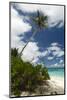 Denis Island, Seychelles-Sergio Pitamitz-Mounted Photographic Print