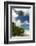 Denis Island, Seychelles-Sergio Pitamitz-Framed Photographic Print