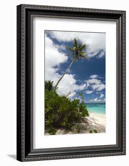 Denis Island, Seychelles-Sergio Pitamitz-Framed Photographic Print