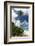 Denis Island, Seychelles-Sergio Pitamitz-Framed Photographic Print